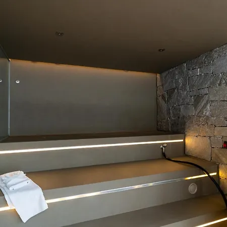 Apartment Luxus-mountain-suite Rocca Bella Mit Dampfbad & Saisonalem Aussen-pool Flims